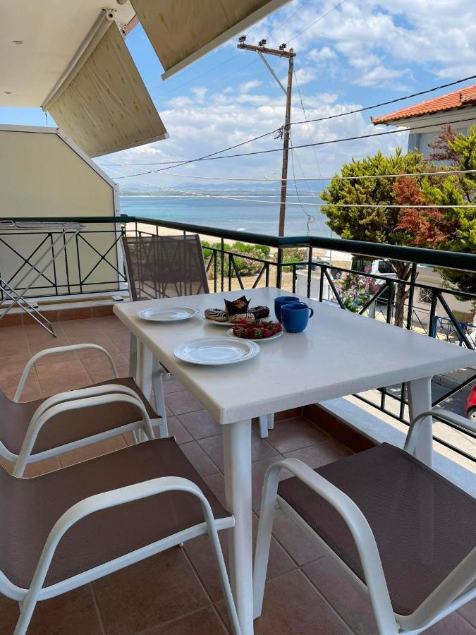 Appartement Starry Coast