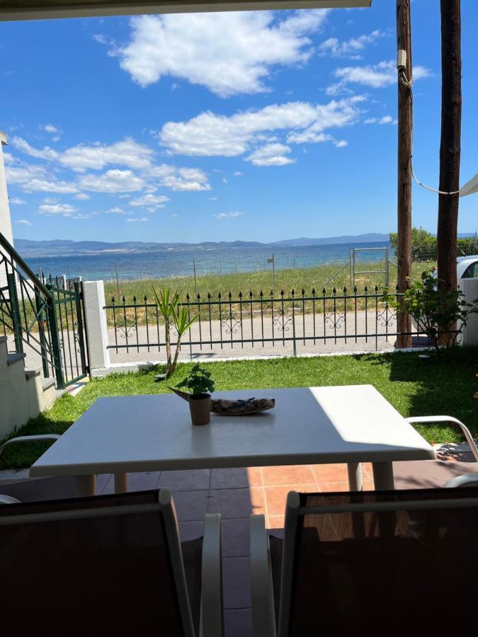 Starry Coast Appartement